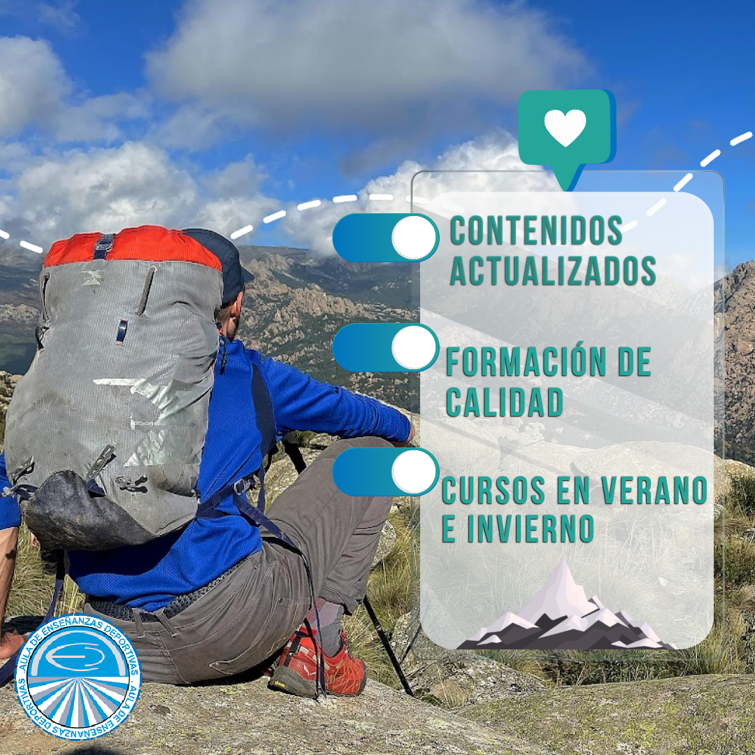 Contenidos actualizados